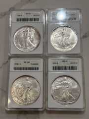 ANACS White-Holder Silver Eagle Group collector photo